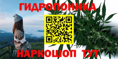 мяу мяу мука Кинель