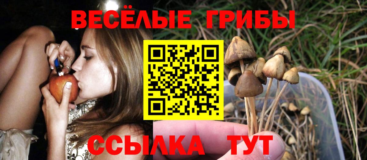 Псилоцибиновые грибы Magic Shrooms  купить наркотики сайты  Коломна  Вход с VPN 